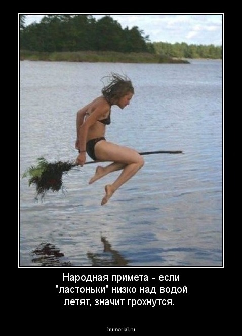 Народная примета - если "ластоньки" низко над водой летят, значит грохнутся.
