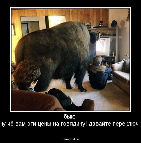 бык: 
- ну чё вам эти цены на говядину! давайте переключим