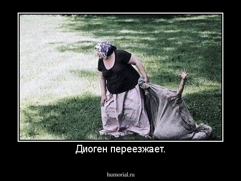 Диоген переезжает.