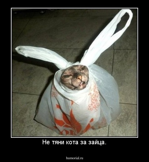 Не тяни кота за зайца.