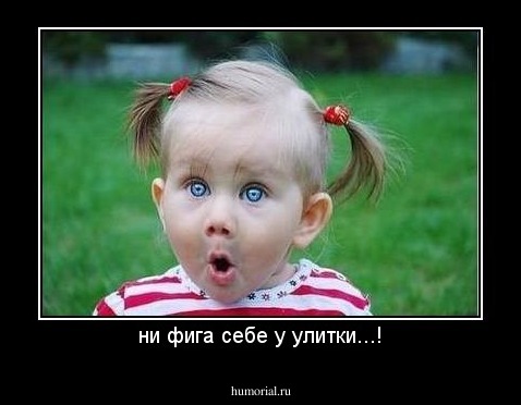 ни фига себе у улитки...!