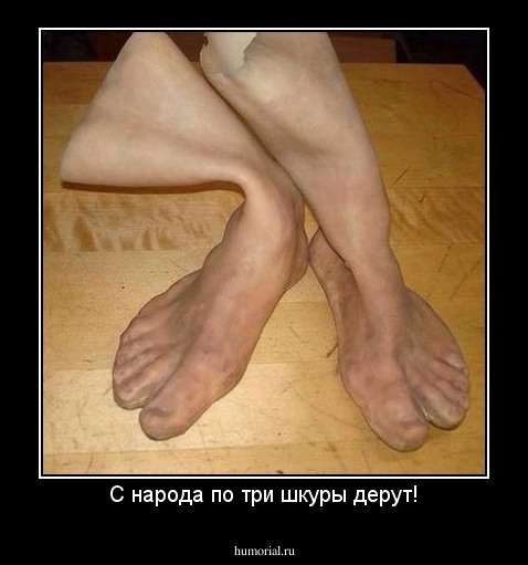 С народа по три шкуры дерут!
