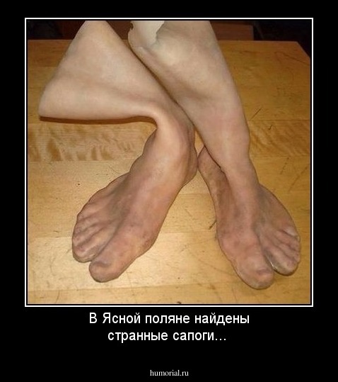 В Ясной поляне найдены странные сапоги...