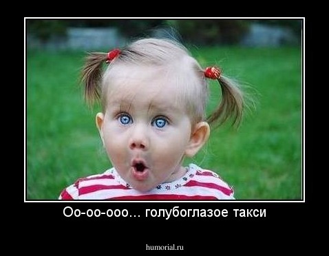 Оо-оо-ооо... голубоглазое такси