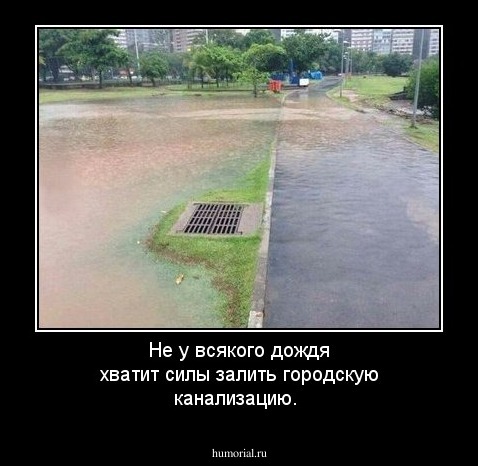 Не у всякого дождя хватит силы залить городскую канализацию.