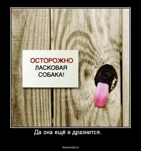 Да она ещё и дразнится.   