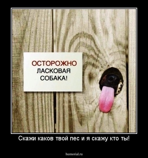 Скажи каков твой пес и я скажу кто ты!