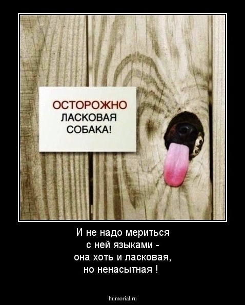 И не надо мериться с ней  языками - она хоть и ласковая, но ненасытная !