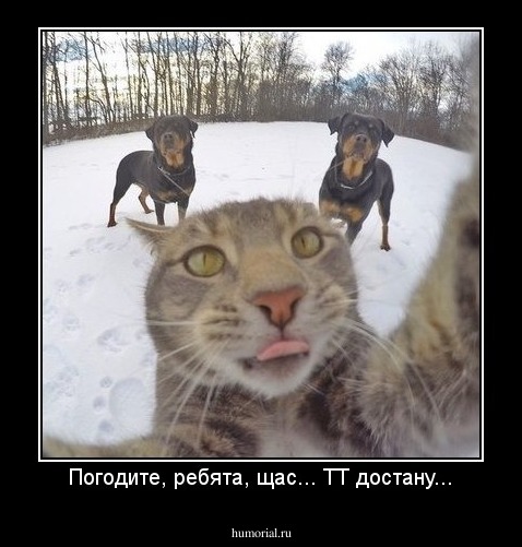 Погодите, ребята, щас... ТТ достану...