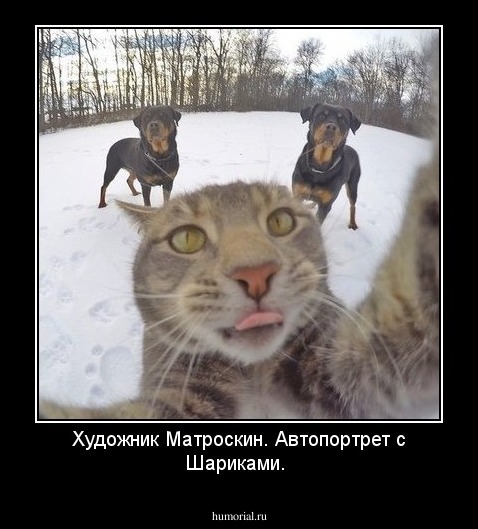 Художник Матроскин. Автопортрет с Шариками.