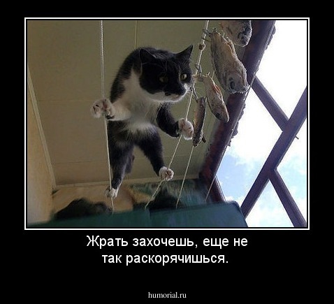 Жрать захочешь, еще не так раскорячишься. 
