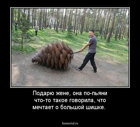 Подарю жене, она по-пьяни  что-то  такое говорила, что мечтает о большой шишке.