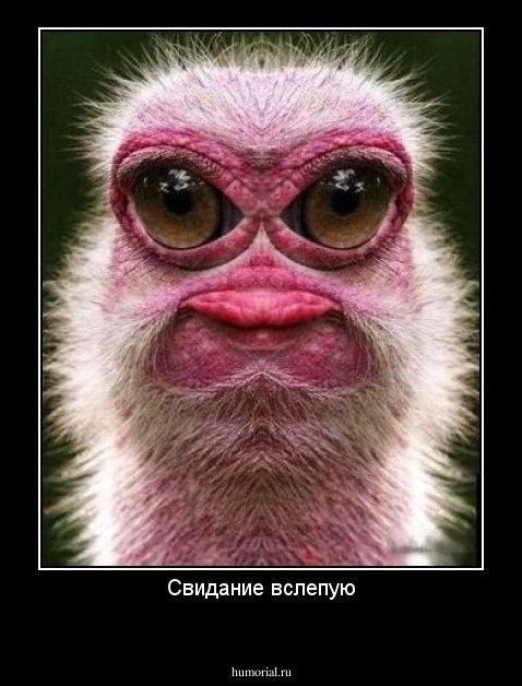Свидание вслепую

