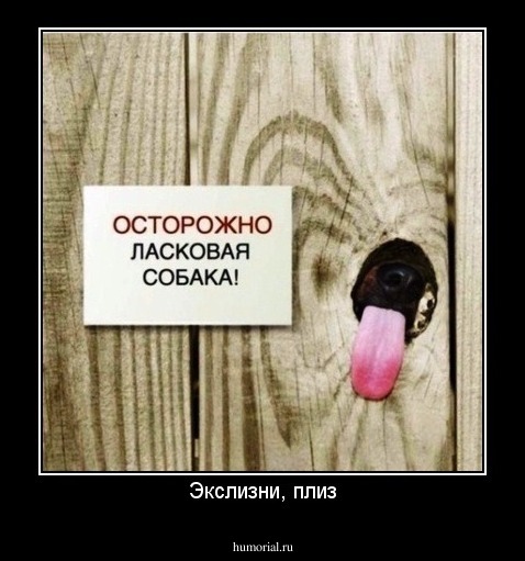 Экслизни, плиз