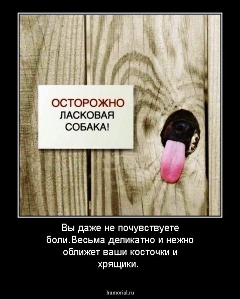 Вы даже не почувствуете боли.Весьма деликатно и нежно оближет ваши косточки и хрящики. 