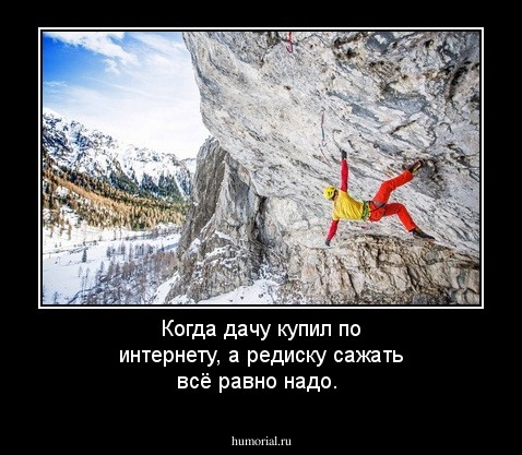 Когда дачу купил по интернету, а редиску сажать всё равно надо. 