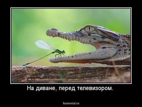 На диване, перед телевизором. 