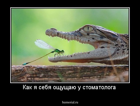 Как я себя ощущаю у стоматолога 