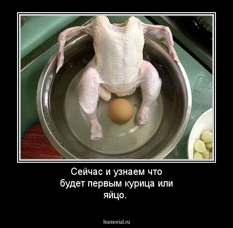 Сейчас и узнаем что будет первым курица или яйцо.