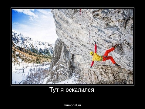Тут я оскалился.