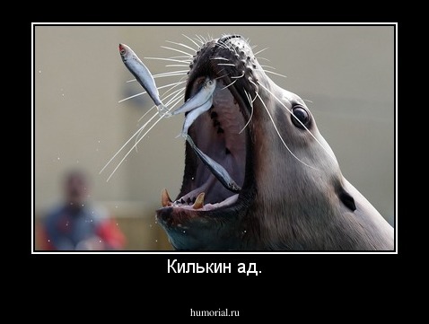 Килькин ад.