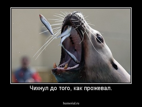 Чихнул до того, как прожевал.