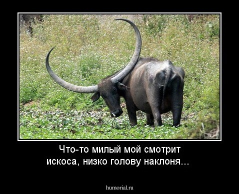 Что-то милый мой смотрит искоса,
низко голову наклоня...
