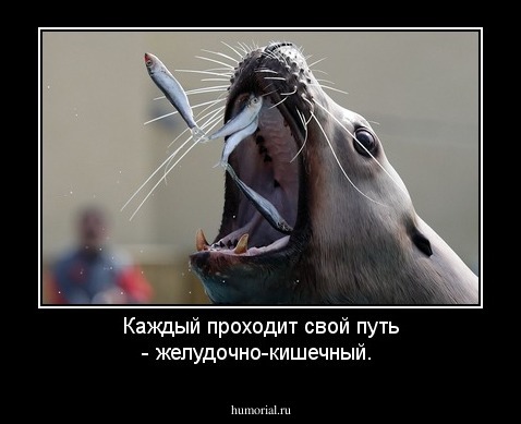 Каждый проходит свой путь - желудочно-кишечный.