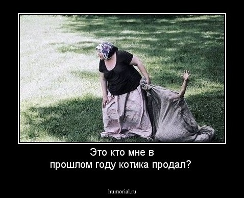 Это кто мне в прошлом году котика продал?