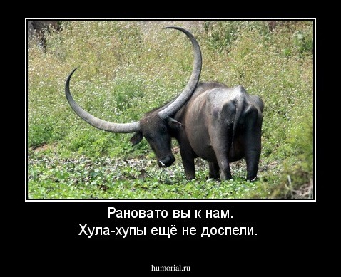 Рановато вы к нам. Хула-хупы ещё не доспели. 