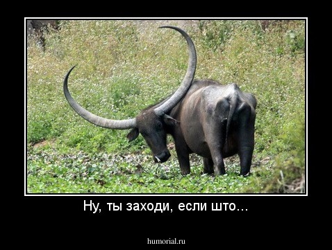 Ну, ты заходи, если што...