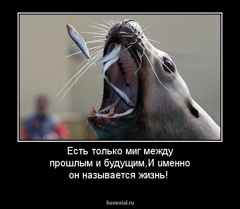 Есть только миг между прошлым и будущим,И uменно он называется жизнь!