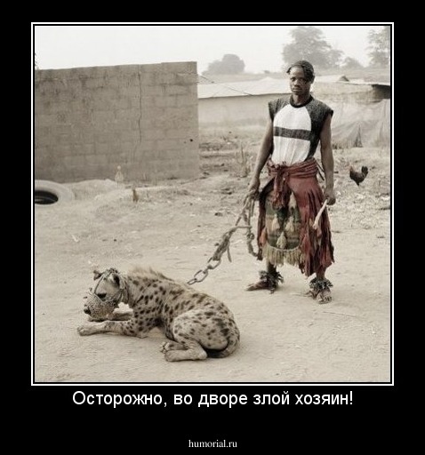 Осторожно, во дворе злой хозяин!
