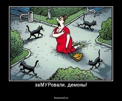 заМУРовали, демоны!