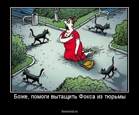 Боже, помоги вытащить Фокса из тюрьмы
