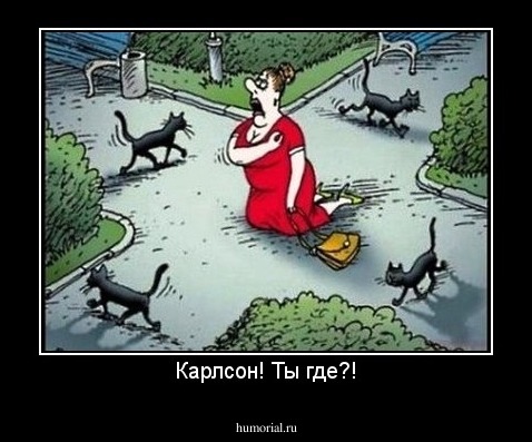 Карлсон! Ты где?!