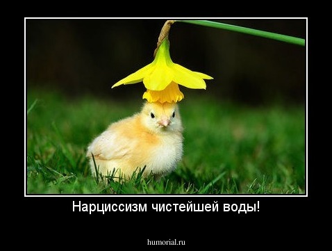 Нарциссизм чистейшей воды!