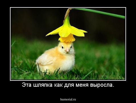 Эта шляпка как для меня выросла.