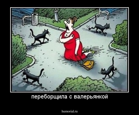 переборщила с валерьянкой