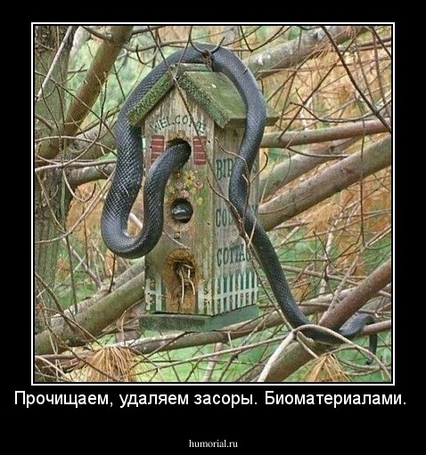 Прочищаем, удаляем засоры. Биоматериалами.