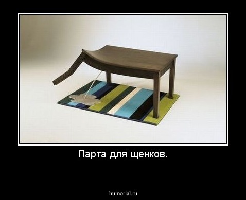 Парта для щенков.
