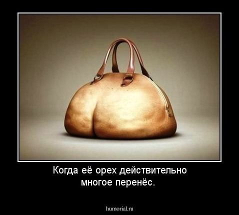 Когда её орех действительно многое перенёс.