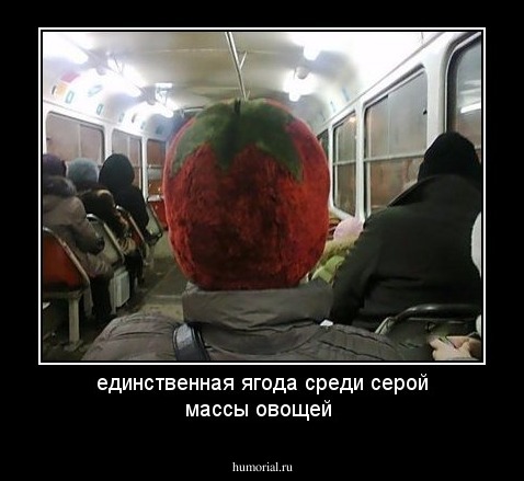 единственная ягода среди серой массы  овощей