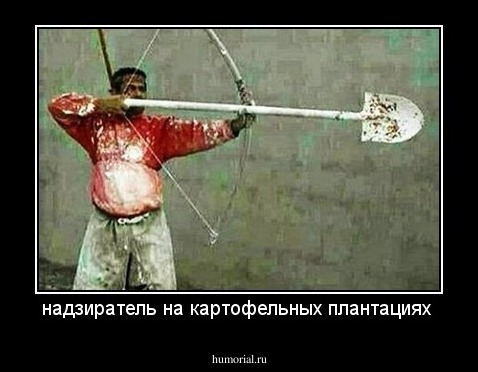 надзиратель на картофельных плантациях 