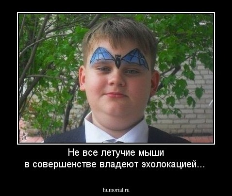 Не все летучие мыши в совершенстве владеют эхолокацией...