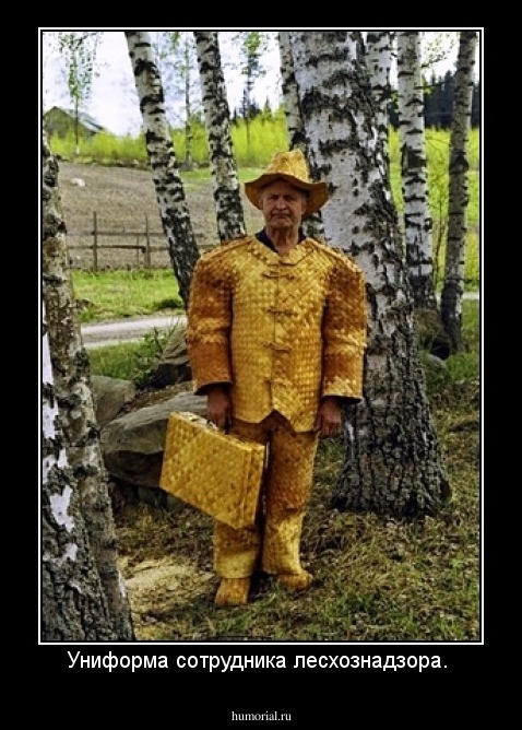 Униформа сотрудника лесхознадзора. 
