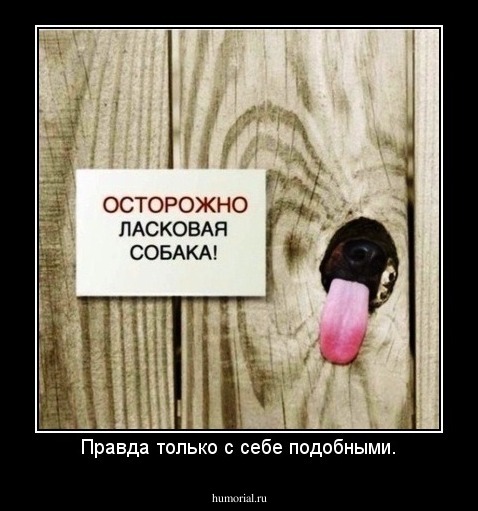 Правда только с себе подобными.