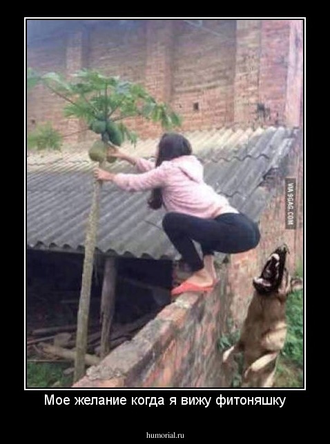 Мое желание когда я вижу фитоняшку