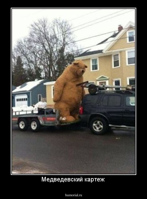 Медведевский картеж 