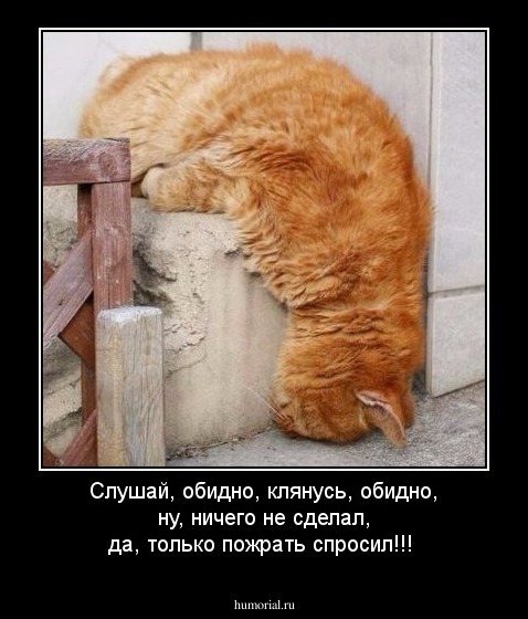 Слушай, обидно, клянусь, обидно, ну, ничего не сделал, да, только пожрать спросил!!!   
